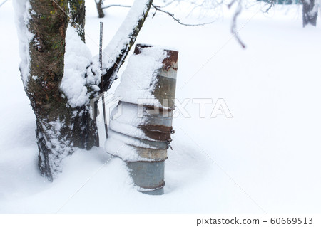 Winter rural landscape, rusty metal buckets in the 60669513