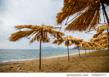 the beach umbrellas 60669571