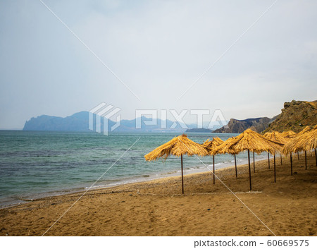 the beach umbrellas the beach umbrellas 60669575