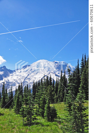Mount Rainier National Park 60670611