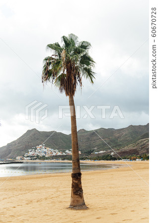 View from the height of the golden sand, palm trees, sun loungers. cloudy weather 60670728
