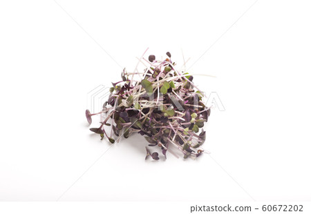 Organic plant microgreens for making detox salads on white Organic plant microgreens for making detox salads on white 60672202