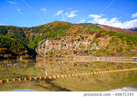 秋葉奧多摩湖 秋葉奧多摩湖 60672393