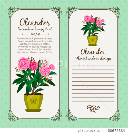 Vintage label with flower oleander 60672884
