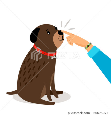 Girl hand touches dogs nose 60673075