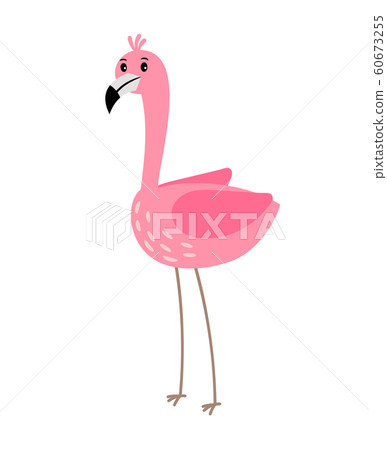 Pink flamingo bird 60673255