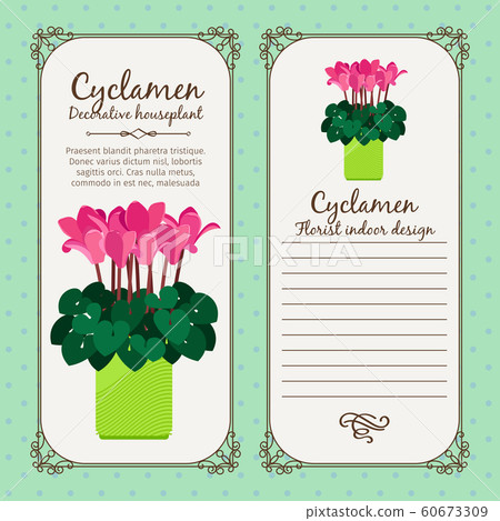 Vintage label with potted flower cyclamen Vintage label with potted flower cyclamen 60673309