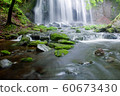 Tatsuzawafudo Falls 60673430