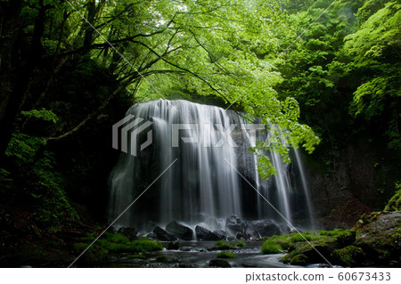 Tatsuzawafudo Falls 60673433