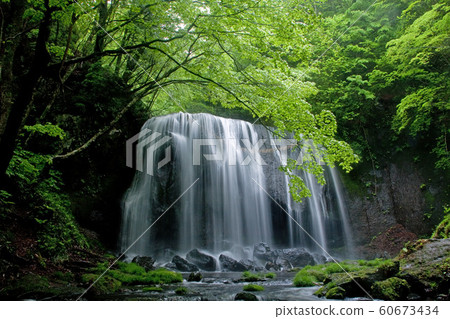 Tatsuzawafudo Falls 60673434