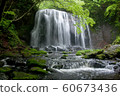 Tatsuzawafudo Falls 60673436