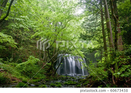 Tatsuzawafudo Falls Tatsuzawafudo Falls 60673438