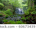 Tatsuzawafudo Falls 60673439
