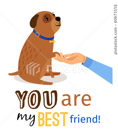 Human hand holding dogs paw Human hand holding dogs paw 60673558