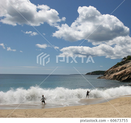 Sand Beach, Acadia National Park, USA 60673755