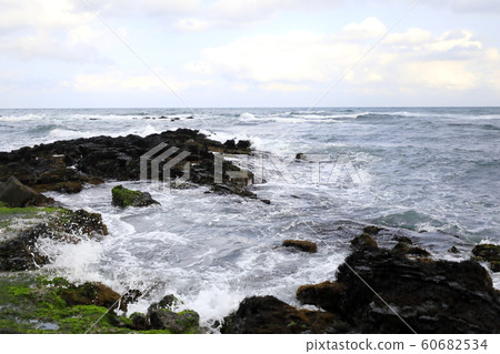 波浪海灘美好的風景 60682534