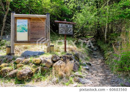 美濃山步道 美濃山步道 60683560