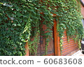 A vine covered with walls and doors 60683608