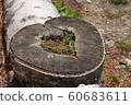 Heart-shaped ring 60683611