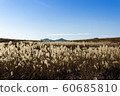 Hagi plateau 60685810