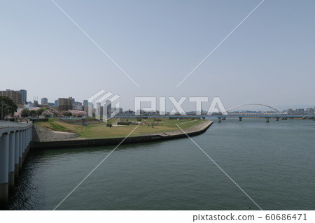 淀川 淀川 60686471