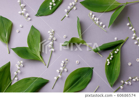 Lovely lily may flowers pattern on gray background 60686574