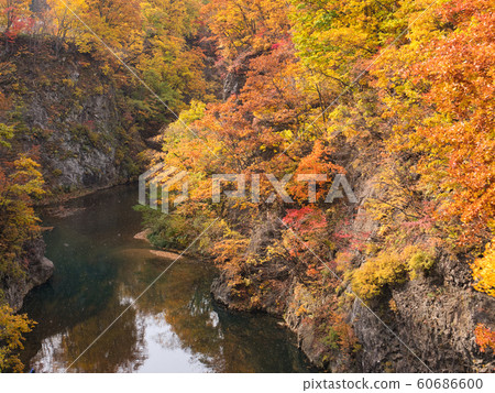 Jozankei秋葉 60686600