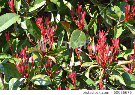 Kaname備忘錄(必填) Kaname備忘錄(必填) 60686676