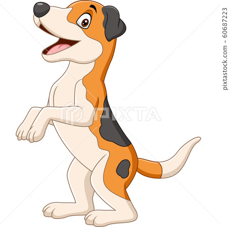 Cartoon funny dog standing on white background Cartoon funny dog standing on white background 60687223