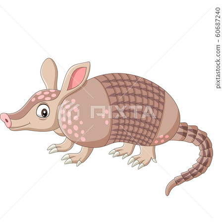 Cartoon armadillo on white background 60687240