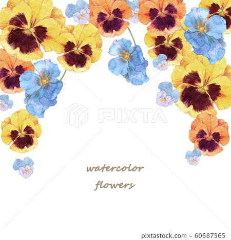 三色堇和中提琴水彩 60687565