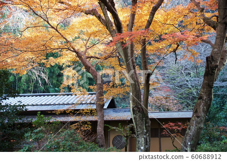 Yusenji寺Zuisenji寺廟 Yusenji寺Zuisenji寺廟 60688912