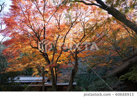 Yusenji寺Zuisenji寺廟 Yusenji寺Zuisenji寺廟 60688913
