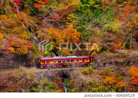 Watarase Gorge Railway / Trolley Train 60689529