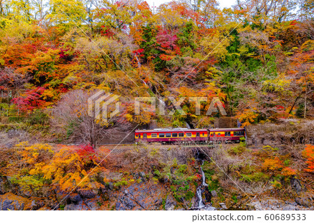 Watarase Gorge Railway / Trolley Train 60689533