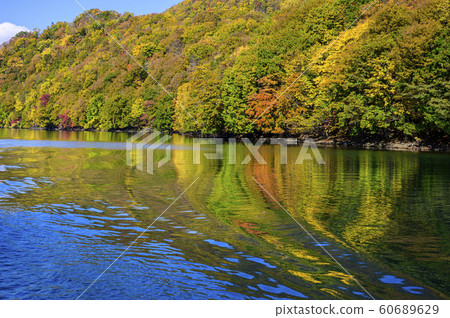 洞爺湖中島紅葉（從遊船上觀看） 60689629