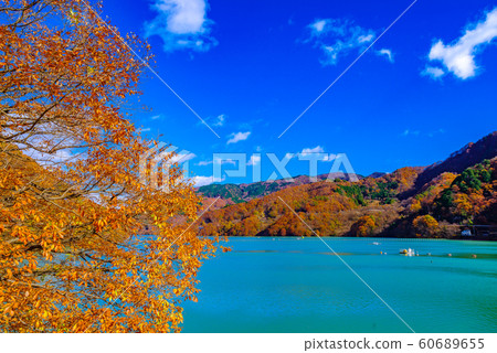 Watarase Valley, Lake Kusagi 60689655