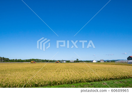 Yuni-cho, Yubari-gun, Hokkaido 60689965