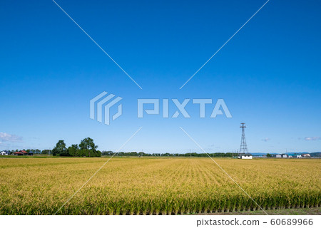 北海道夕張郡尤尼町 60689966