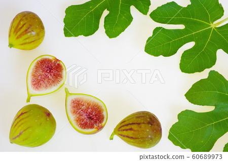 無花果果實和葉子 60689973