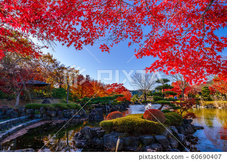Autumn leaves of Sakurayama Park [Fujioka City, Gunma Prefecture] 60690407