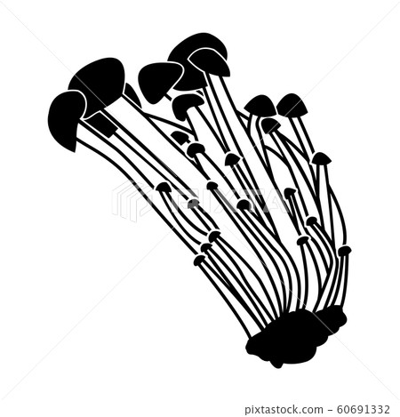 Mountain enoki 60691332