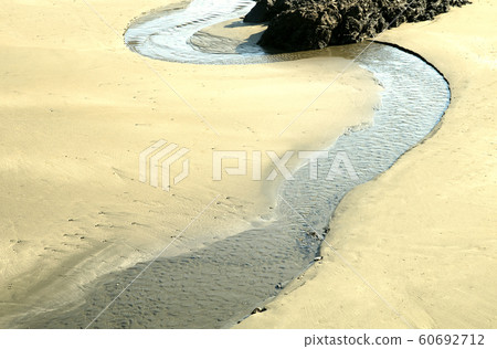 Estuary 60692712
