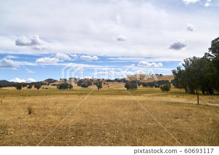 The haystack 60693117