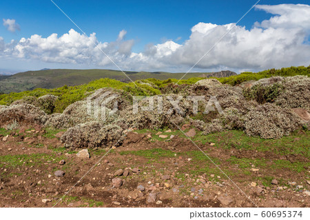 Ethiopian Bale Mountains landscape, Ethiopia 60695374