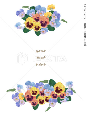 三色堇和中提琴水彩 60696035