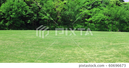 草坪廣場，草坪廣場，鮮綠色草坪廣場，鮮綠色草坪 60696673