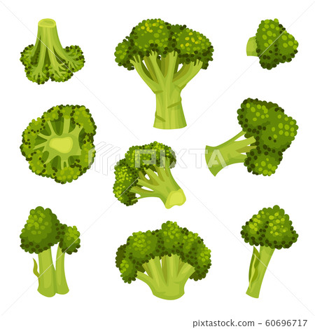 Broccoli Vector Set. Vegetable from Different Perspective Collection 60696717