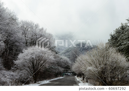 Songnisan Snow Road 60697292