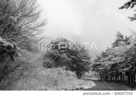 松尼斯山雪路 松尼斯山雪路 60697293